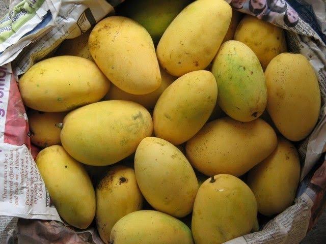 Chausa Mango